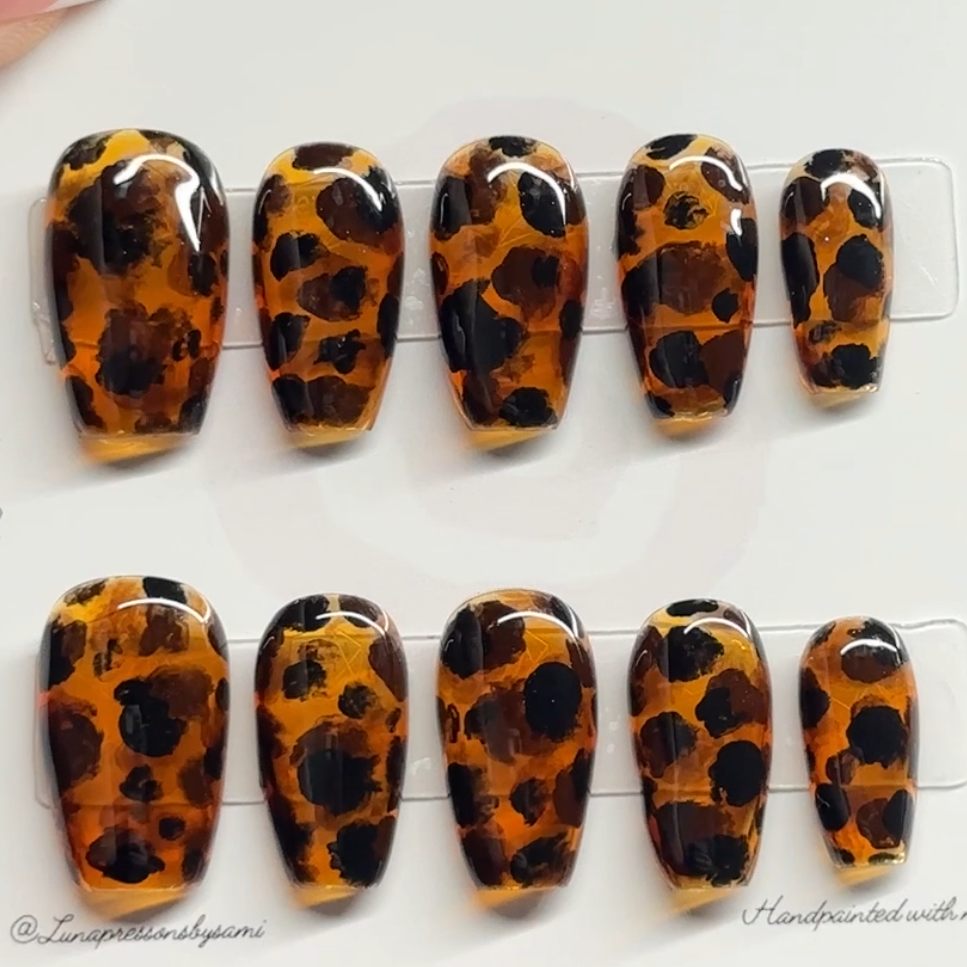 Tortoise shell