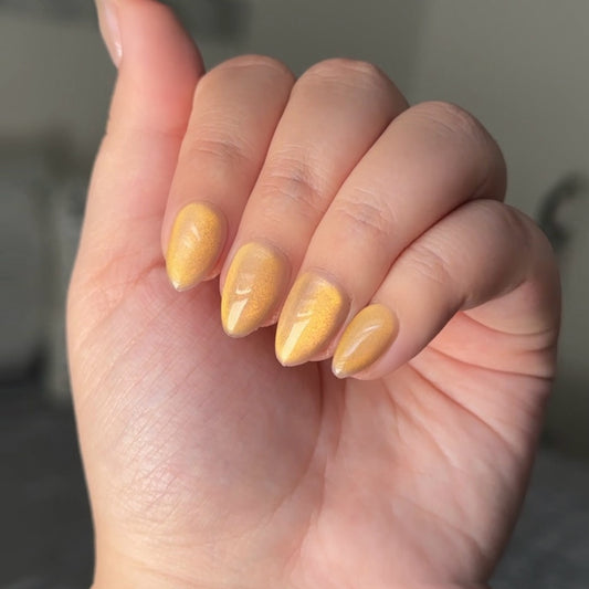 Amber Light Cateye
